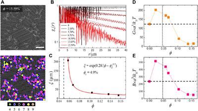 2D phase behaviors of colloidal ellipsoids and rods